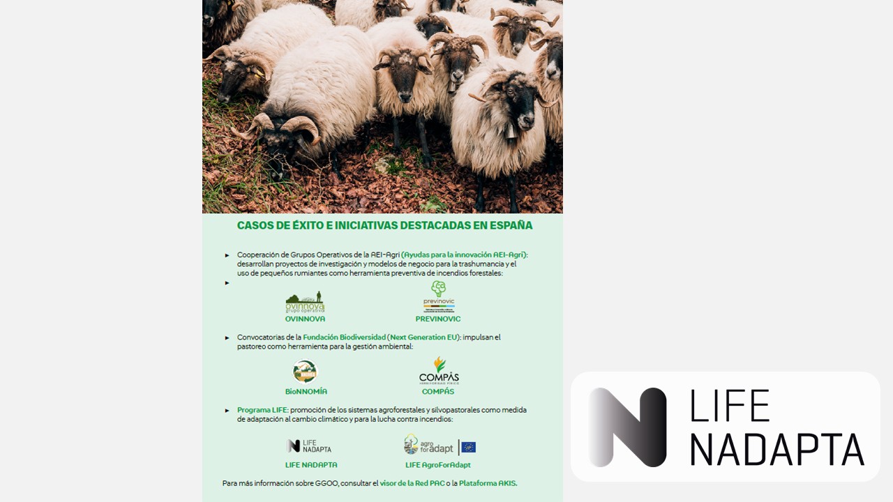 LIFE-IP NAdapta-CC, ejemplo destacado en España por su contribución a la prevención de incendios mediante la ganadería extensiva. Un folleto de la Red PAC del Ministerio de Agricultura, Pesca y Alimentación incluye al proyecto navarro como caso de referencia en gestión del territorio