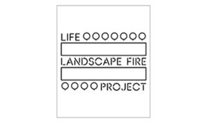 LIFE LANDSCAPE FIRE