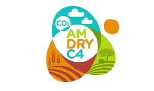 LIFE AMDRY C4
