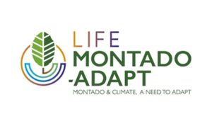 LIFE MONTADO