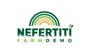 Nefertiti (H2020)