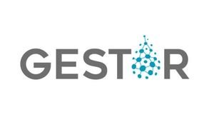 Proyecto Gestor