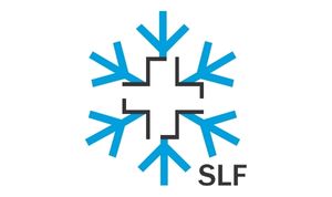 Instituto para la Investigación de la Nieve y las Avalanchas (SLF) 