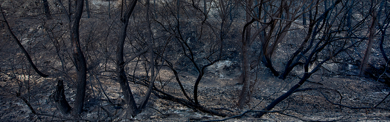 Incendio