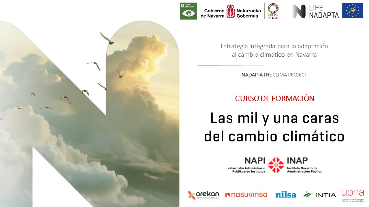 El curso de formación 