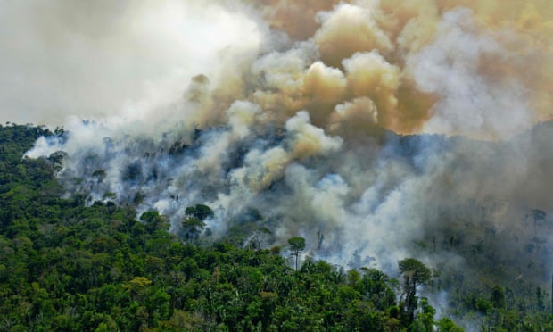La selva amazónica emite ahora más CO2 del que absorbe
