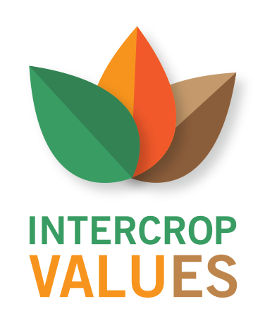 Horizonte Intercrops Values