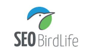SEO BIRTHLIFE